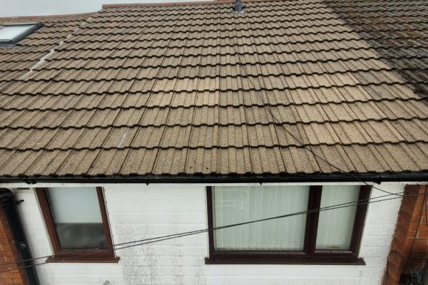 roof-after